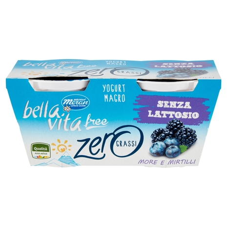 Yogurt Magro Gusto More e Mirtillo Senza Lattosio, 2x125 g